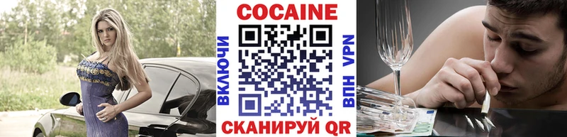 маркетплейс клад  Камышлов  Кокаин FishScale  где найти наркотики 
