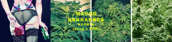 индика Рославль