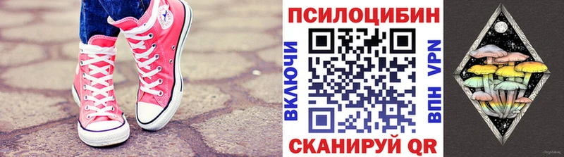 Галлюциногенные грибы прущие грибы  цены наркотик  Камышлов 