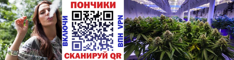 как найти наркотики  Камышлов  Марихуана MAZAR 